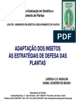 Adaptação Dos Insetos