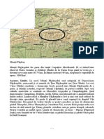 WWW - Portalio.ro Referat Muntii Fagaras