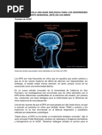 Base Biológica para Los Desórdenes de Procesamiento Sensorial (DPS) en Los Niños