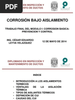 Corrosion Bajo Aislamiento Expo