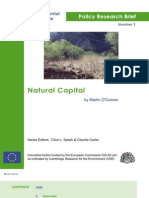 OConnor Natural Capital