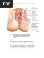 Intern ACOG Bulletin Episiotomy and Repair3