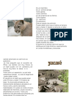 Animales Autóctonos