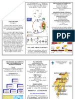 Tríptico Entamoeba Histolytica