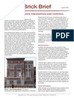 BIA - Efflorescence Prevention and Control 2009-08