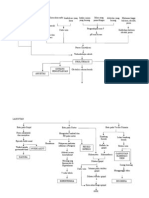 Pathway Urolithiasis (Batu Buli - Buli)