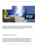 Fosfenismoinfo Clarividencia PDF