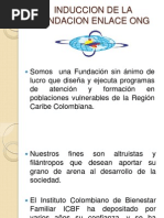 Induccion de La Fundacion Enlace Ong