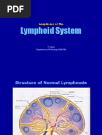 Blockxiv Neoplasms Lymphoid 2006