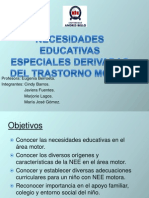 Necesidades Derivadas Del Trastorno Motor