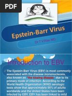 Epstein-Barr Virus