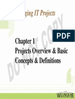 Managing IT Projects: Projects Overview & Basic Concepts & Definitions