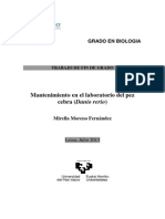 TFG. Pez Cebra PDF