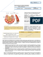 Guia de Formacion Orina Hipotonica y Hipertonica!!