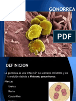 Gonorrea Exposicion