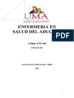 Enfermeria en Salud Del Adulto I