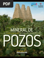 Ebook Mineral de Pozos