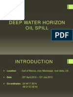 Deepwater Horizon Oil Spill