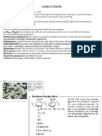 Sulfamide Antibiotice