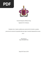 Estandares Éticos y Legales en Publicaciones, Protección de Los Derechos y Garantías, Protección de Los Derechos de Propiedad Intelectual