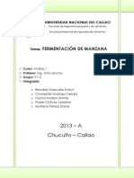 Fermentacion 1 de Manzana (Monografia)