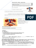 Atividade de Revisão