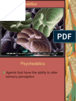 The Psychedelics PowerPoint