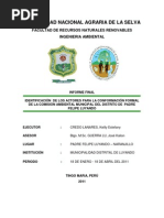 Identificación de Los Actores para La Conformación Formal de La Comisión Ambiental Municipal Del Distrito de Padre