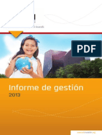 Informe de Gestión 2013