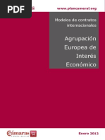 Modelo de Agrupacion Europea Interes Economico