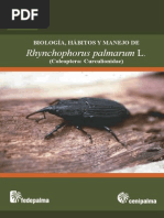 Biologia, Habitos y Manejo de Rhynchophorus Palmarum L.