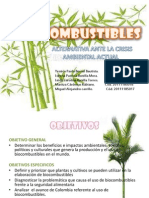 Biocombustibles FINAL