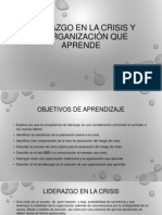 Liderazgo en La Crisis y La Organización Que