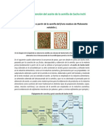 Método de Obtención Del Aceite de La Semilla de Sacha Inchi