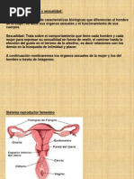 Diferencia Entre Sexo y Sexualidad