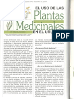 Plantas Medicinales Uruguay BSE