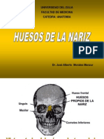 Huesos de La Nariz