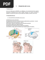 Anatomía de La Voz