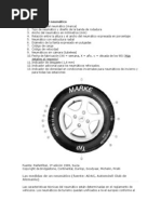 Identificación Del Neumático