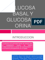 Glucosa en Orina y Basal. Expo Final