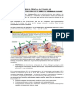 Anexo 1 Ciencias Naturales 10