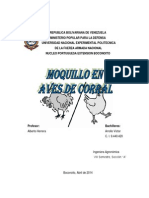 Informe Del Moquillo en Aves de Corral Arrollo