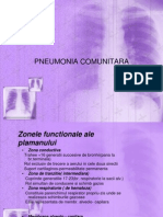 Curs 3,4 Pneumonia Comunitara