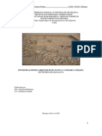 Informe Preliminar Arqueología Nejapa, Managua, Nicaragua. 2008