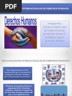 Organizaciones Internacionales de Los Derechos Humanos