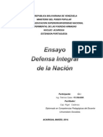 Ensayo Defensa Integral