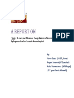 Final Report