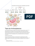 Tipos de Antineoplasicos