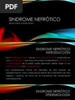 Sindrome Nefrótico - PEDIATRIA