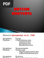 New - Oomycota - 2